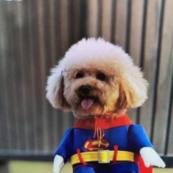 mario_bartlett